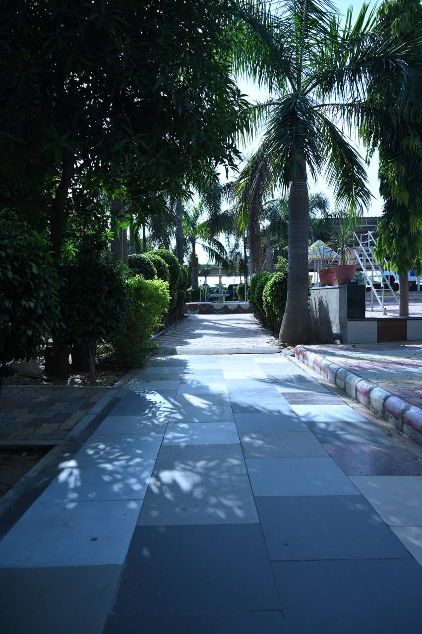 Shaded paved walkway bordered by palms and clipped garden planting.